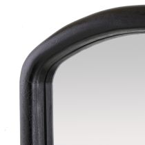 WMI47 Dyer Mirror Side View
